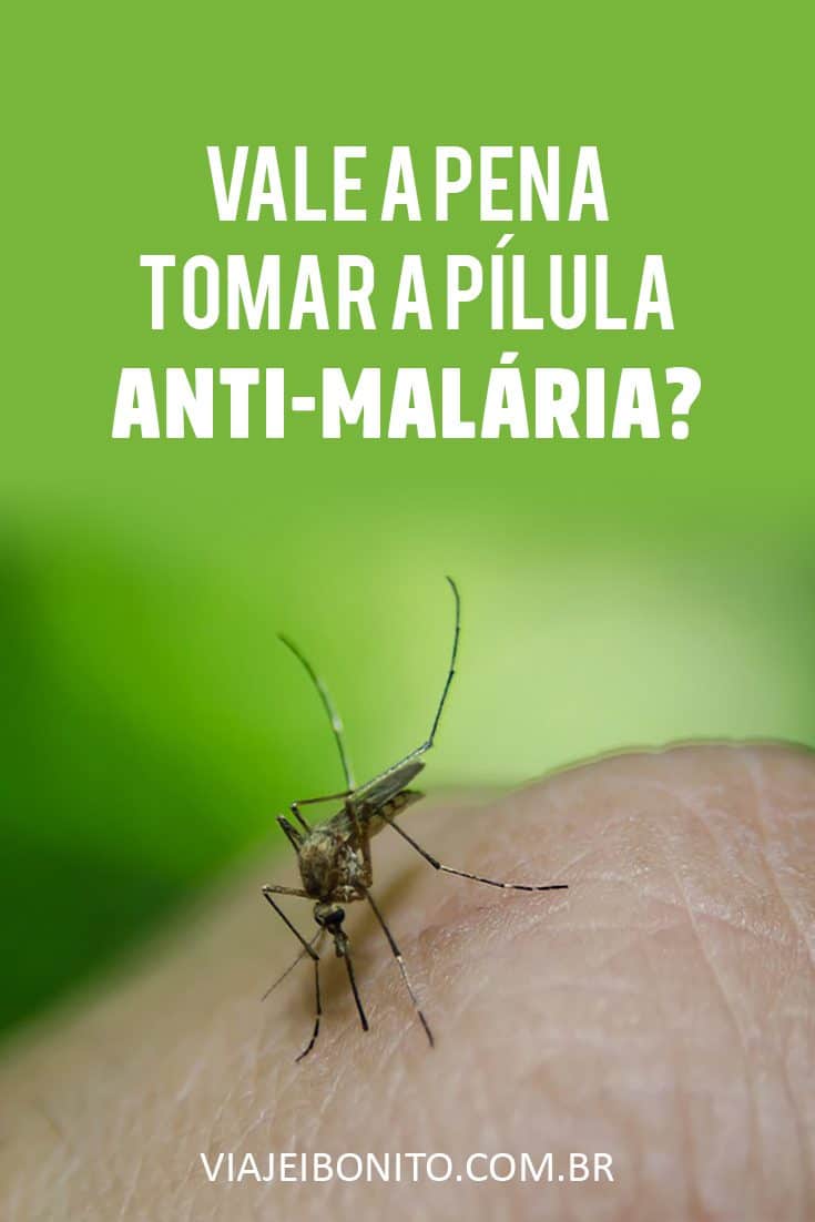 Vale a pena tomar a pílula anti-malária ao visitar zonas tropicais, como a Amazônia e parte da África? Créditos: CreativesolutionisT / Fonte: Pixabay