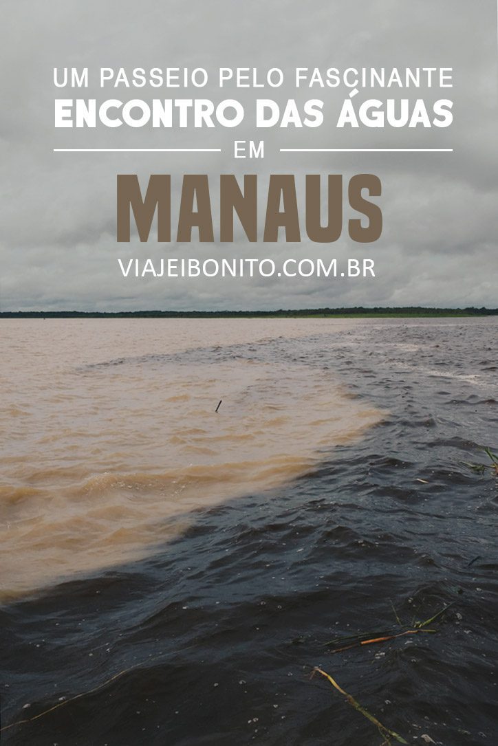 Passeio pelo encontro das Águas em Manaus. Como fazer e quanto custa. Créditos: Gisele Rocha