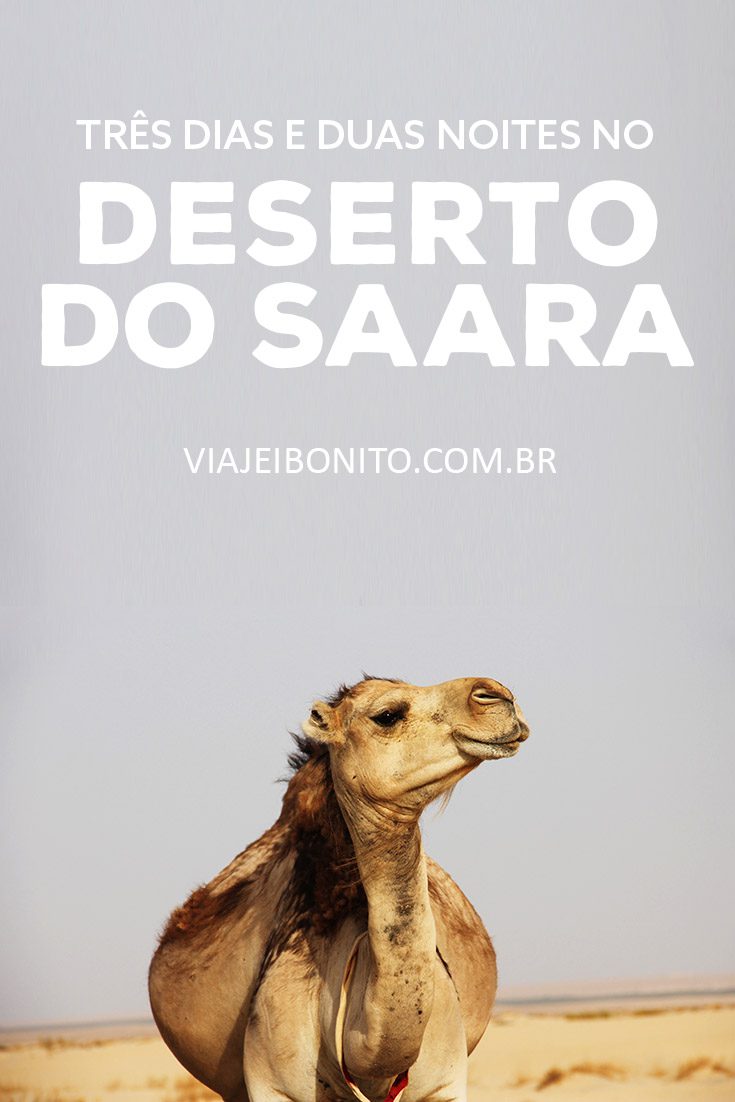 Como ir ao Deserto do Saara, no Marrocos. Quanto custa ir ao Deserto do Saara. Gordes du Todra, Merzouga. Dromedários, tapetes marroquinos, tajine de frango e muito mais. Créditos: Daniela Castro / Fonte: Unsplash