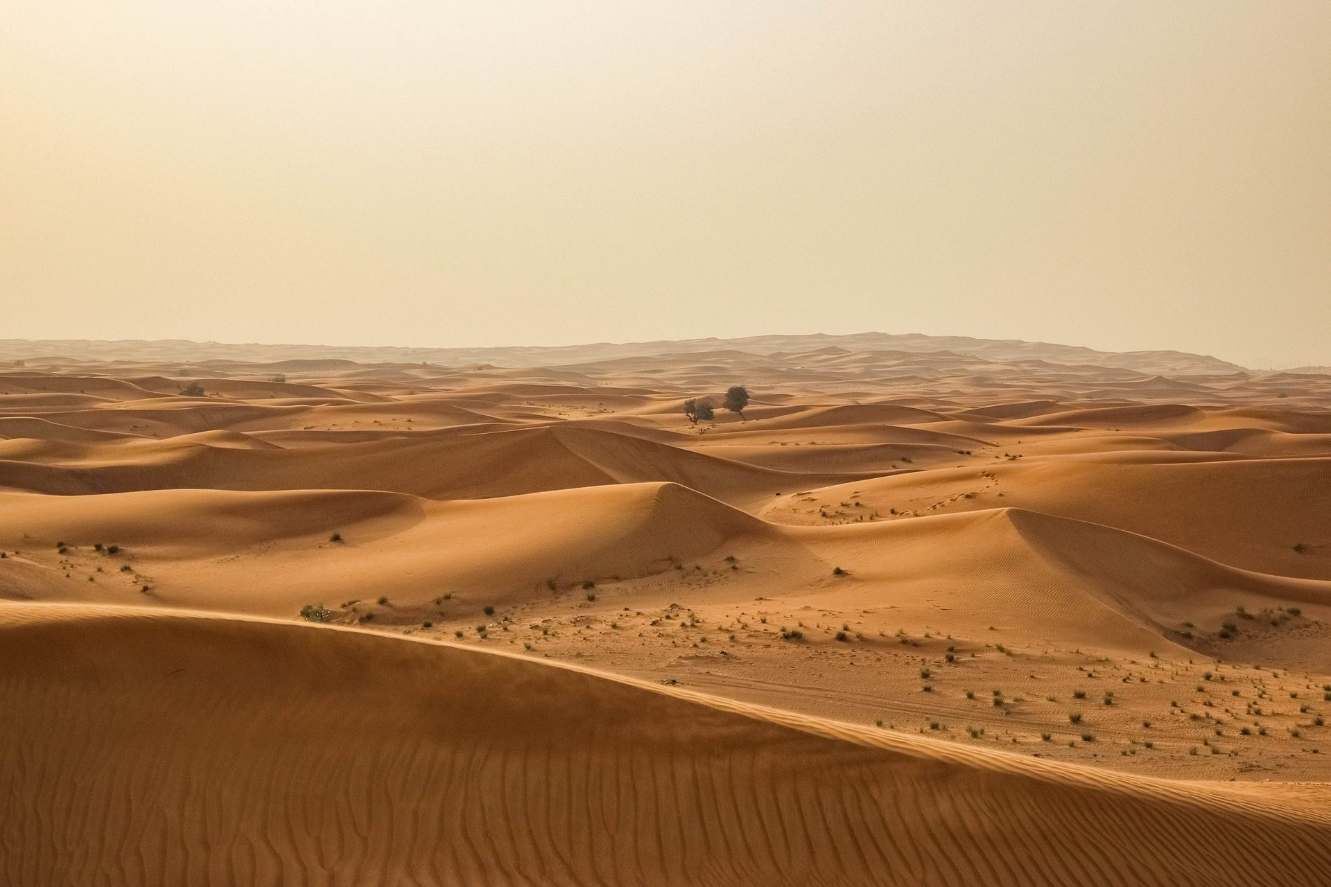 Tour de três dias e duas noites no Deserto do Saara