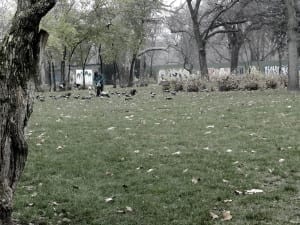 Mulher alimentando corvos no City Park, Budapeste, Hungria
