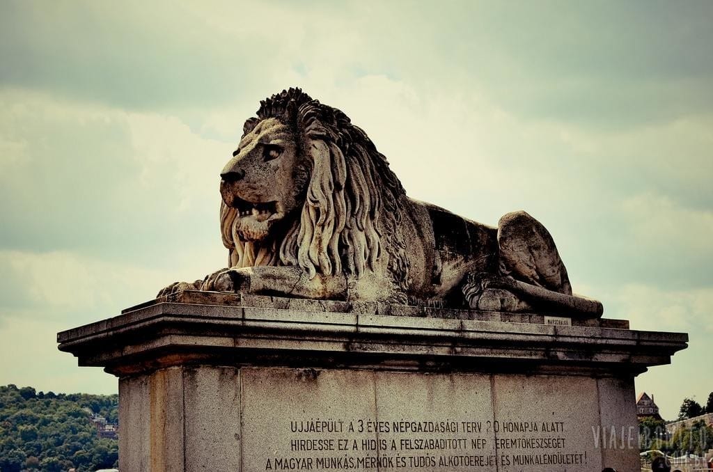 Uma das várias estátuas de leão espalhadas pela cidade de Budapeste, Hungria