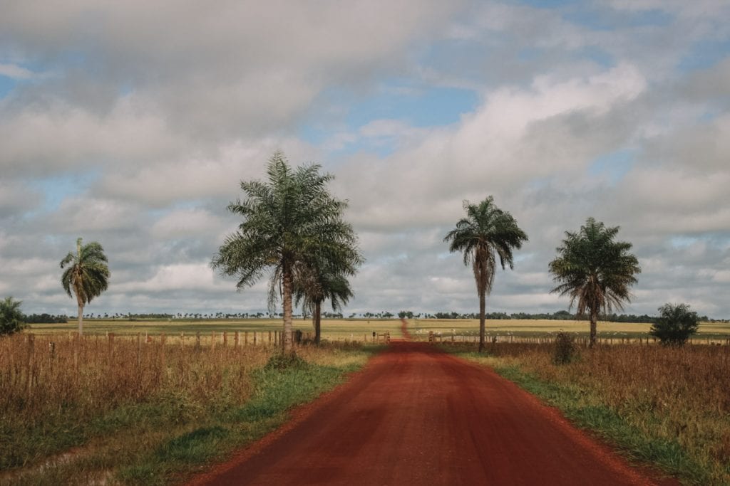 Planície cortada por uma das estradas do Pantanal, Mato Grosso do Sul