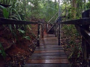 Parte das escadas que levam à Lagoa Misteriosa em Bonito, Mato Grosso do Sul