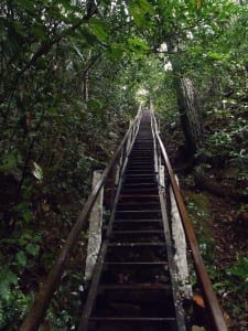 Escadas que levam à Lagoa Misteriosa em Bonito, Mato Grosso do Sul
