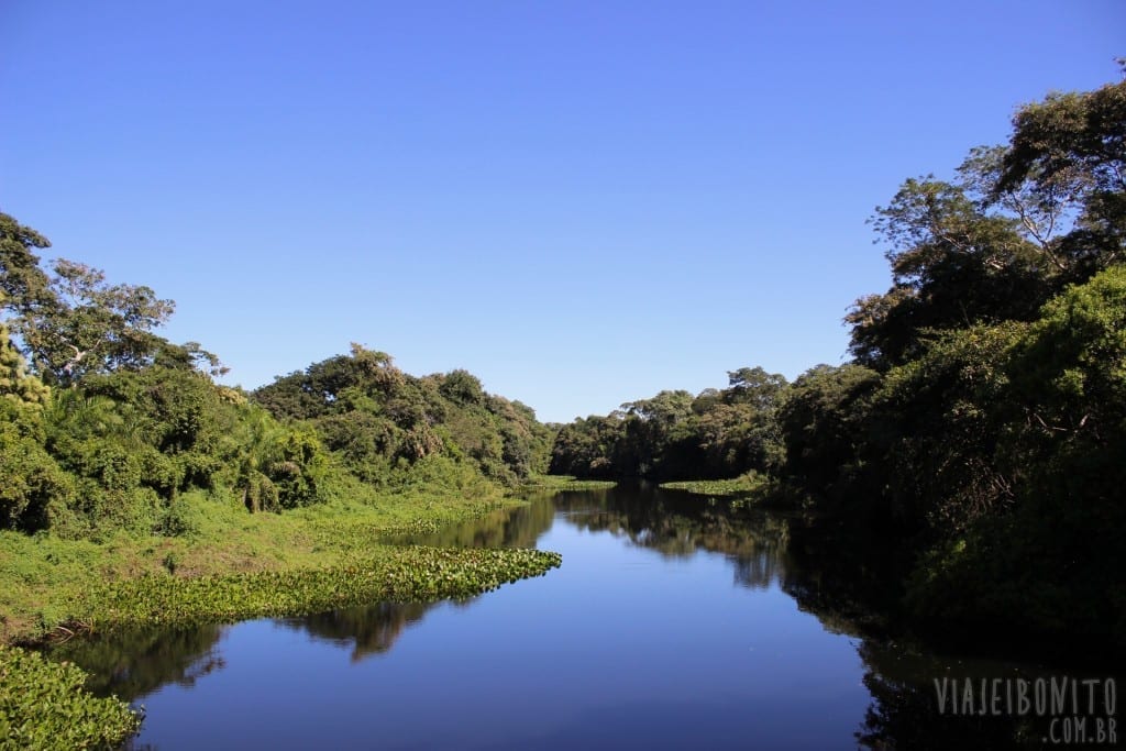 Passeio de Chalana no Pantanal, pela Fazenda San Francisco, em Miranda, Mato Grosso do Sul