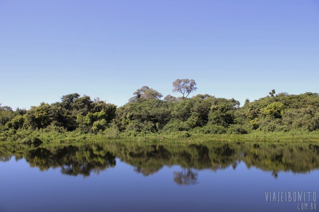 Passeio de Chalana no Pantanal, pela Fazenda San Francisco, em Miranda, Mato Grosso do Sul