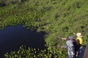 Pescaria de Piranhas no Pantanal feita pela Fazenda San Francisco, em Miranda, Mato Grosso do Sul