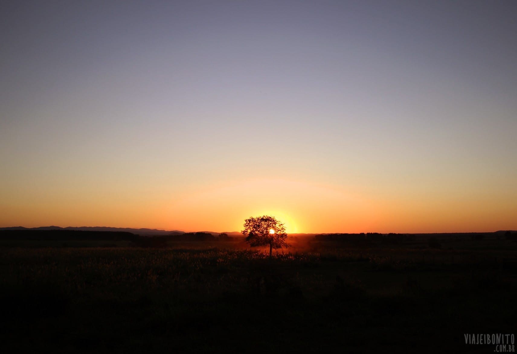 Por-do-sol pantaneiro com uma única árvore no horizonte durante o Safari pela Fazenda San Francisco, em Miranda, Mato Grosso do Sul