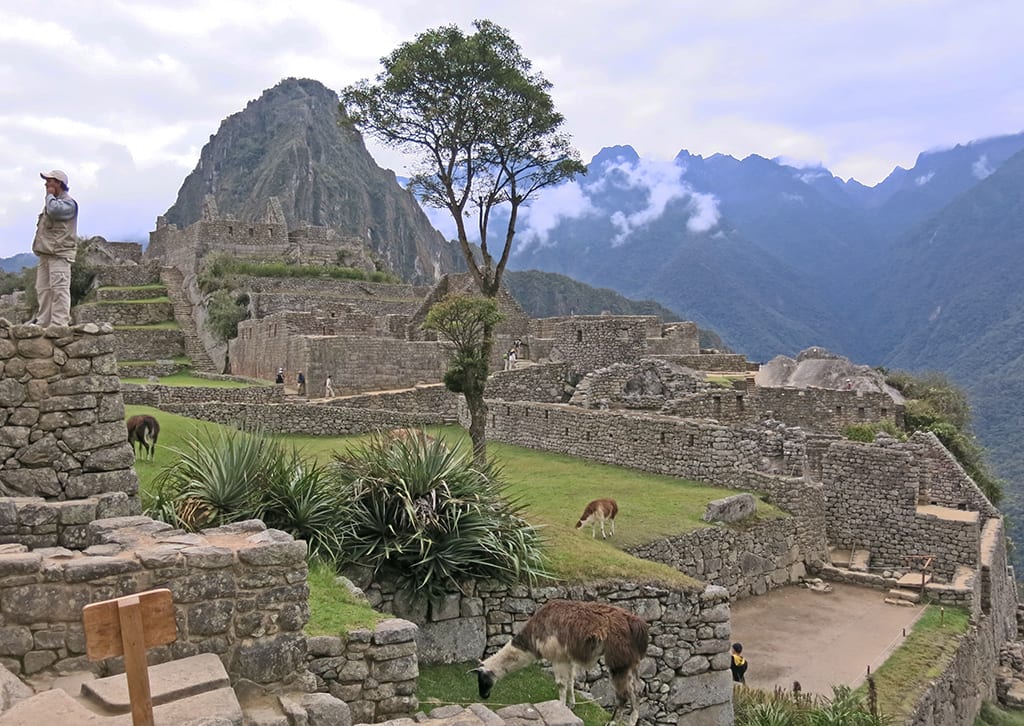 Ao fundo, a Plaza Principal de Machu Picchu, onde só as lhamas podem pisar