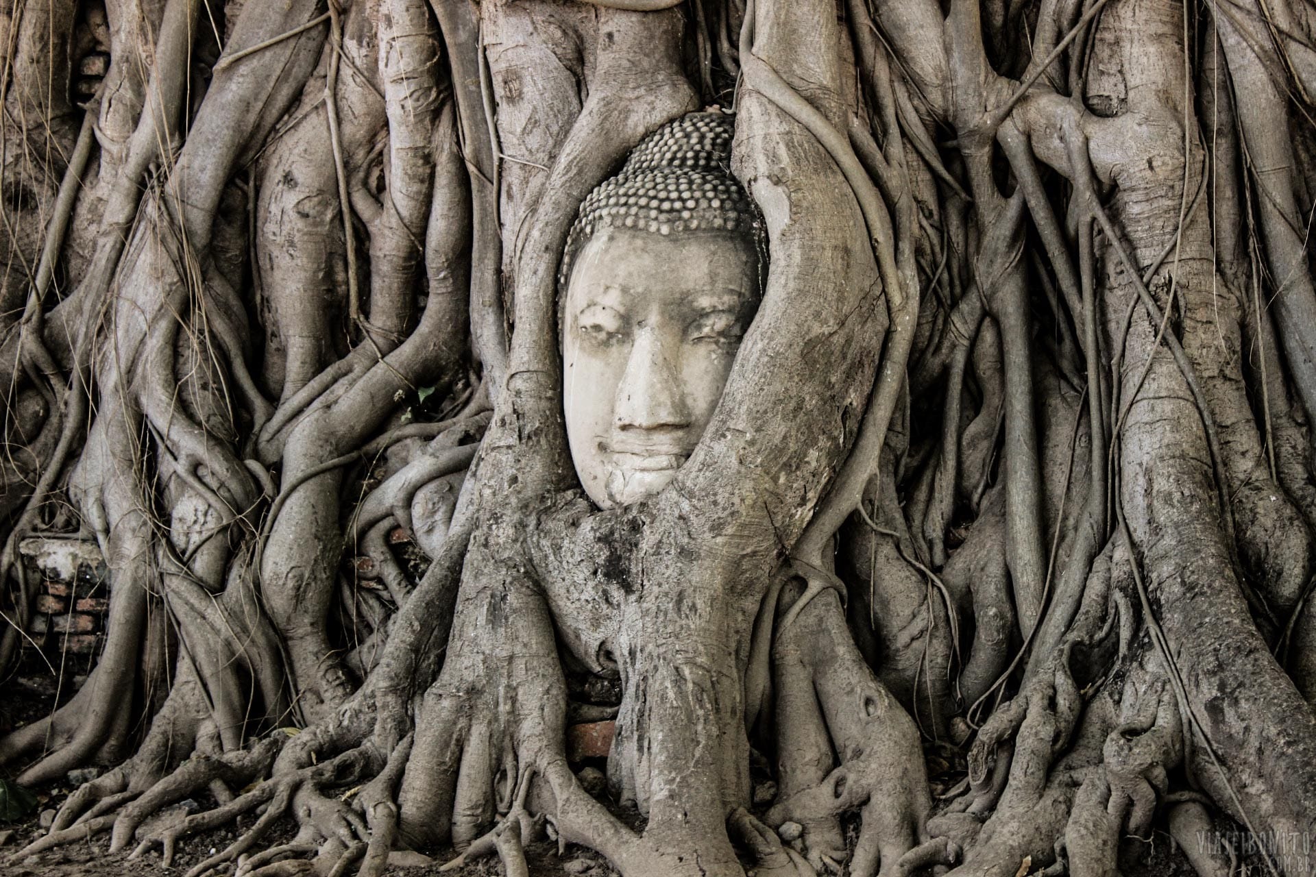 Visitando Ayutthaya em um dia