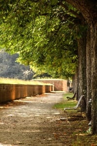 Fazer uma caminhada ou andar de bicicleta em torno dos muros medievais é uma boa opção para um dia de bate-e-volta a Lucca