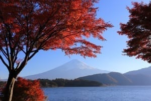 Momiji e Mount Fuji, vistos do Lago Kawaguchi