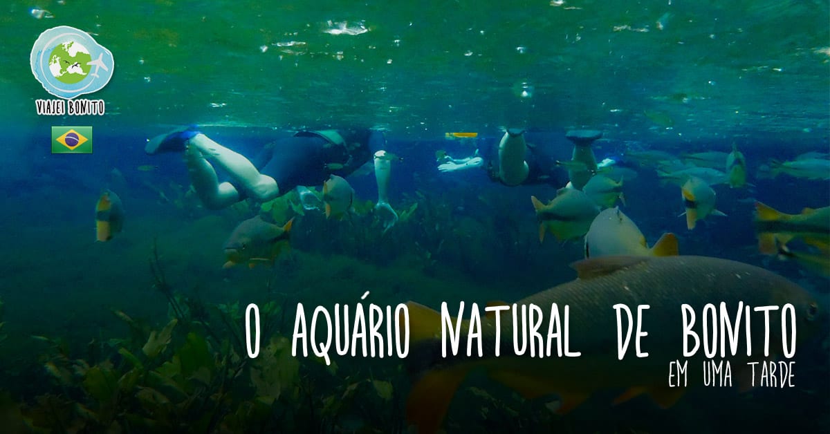 Flutuação no Aquário Natural, em Bonito, Mato Grosso do Sul