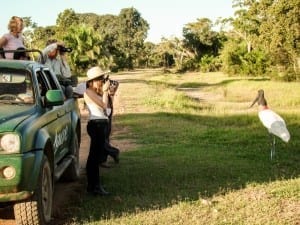 Safari pelos arredores da Pousada Aguapé, em Aquidauana, Mato Grosso do Sul, Pantanal