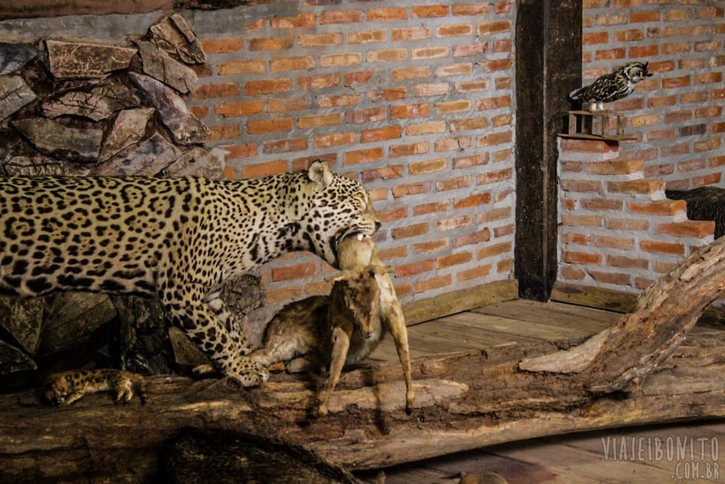 Museu Kadiwéu, em Bonito, Mato Grosso do Sul