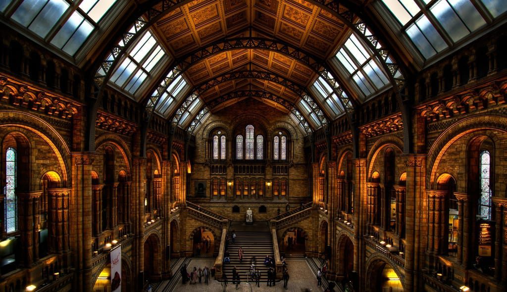 A beleza interior do Natural History Museum, em Londres, Inglaterra