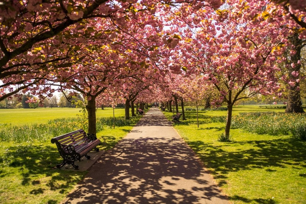 Hyde Park em Londres, Inglaterra