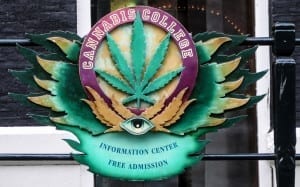 Você não paga para adquirir conhecimentos na Faculdade da Cannabis