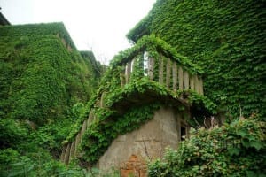 Em Houtou Wan, localizada na ilha Gouqi, da China, a natureza reocupa o espaço abandonado