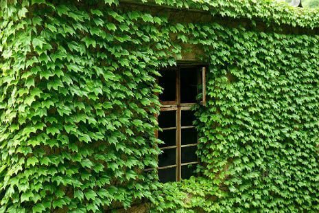 A vila de Houtou Wan, no Arquipélago de Zhoushan, foi abandonada após a industrialização na China