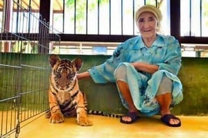Lena Toksanbaeva com um filhote de tigre na Tailândia