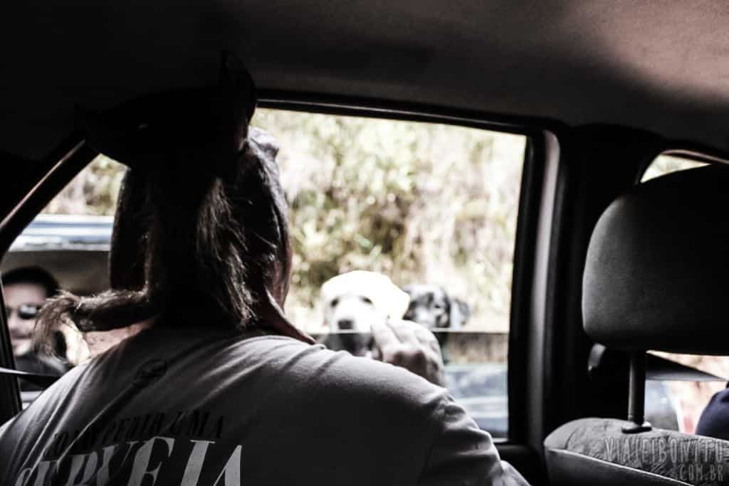 Pedindo ajuda aos cães Bósnio e Demóstenes, em Aiuruoca, Minas Gerais