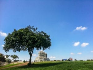 O clássico Jardim Botânico de Curitiba: visita indispensável