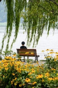 Jardim às margens do Lago do Oeste, em Hangzou, China