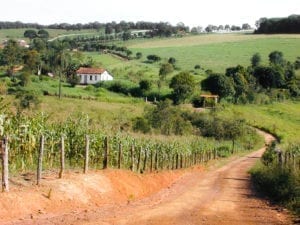 Estradas vicinais de Brumadinho, Minas Gerais, levam a distritos que parecem ter parado no tempo