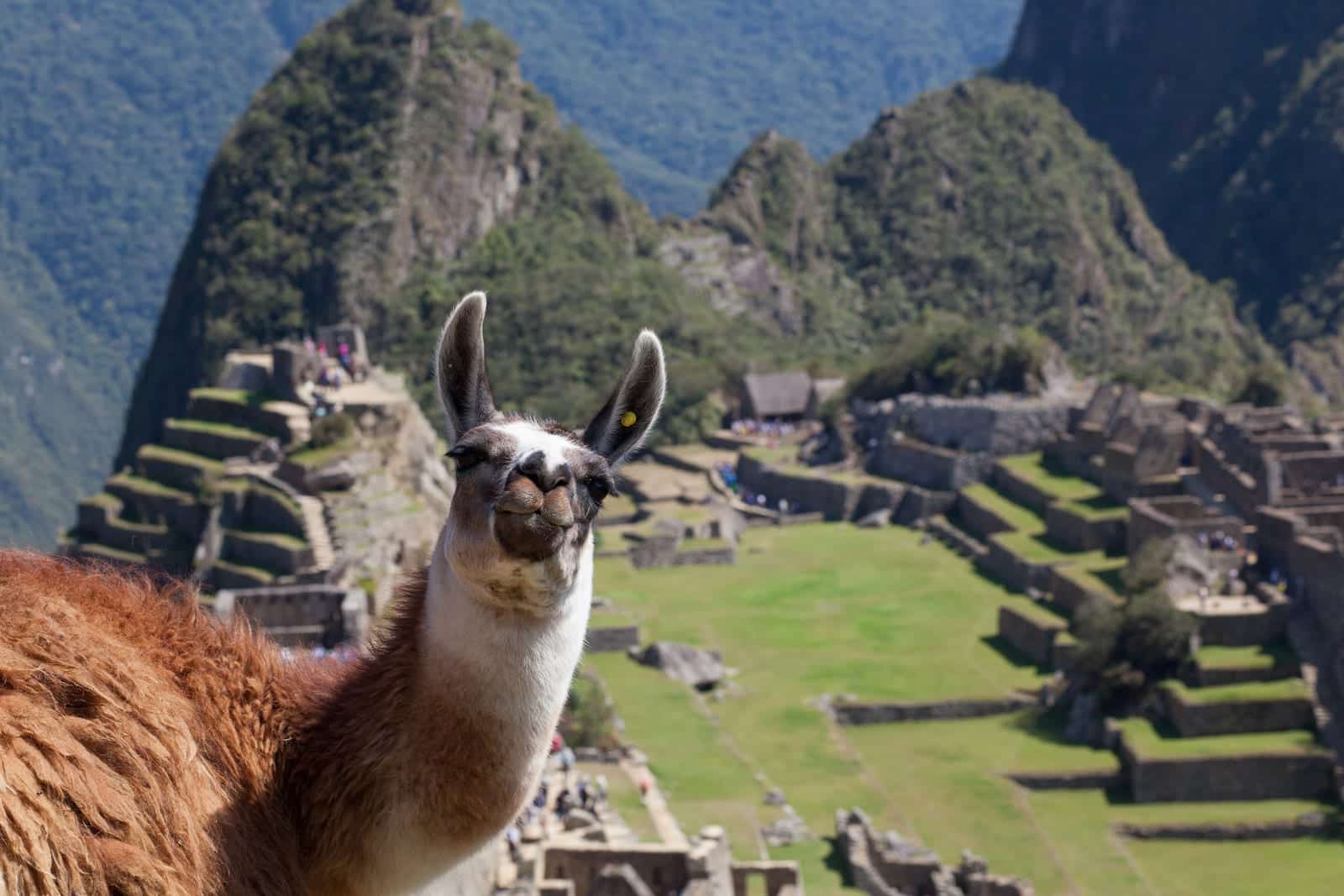 7 formas de chegar a Machu Picchu
