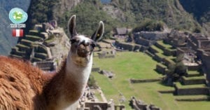 Como chegar a Machu Picchu da forma mais barata
