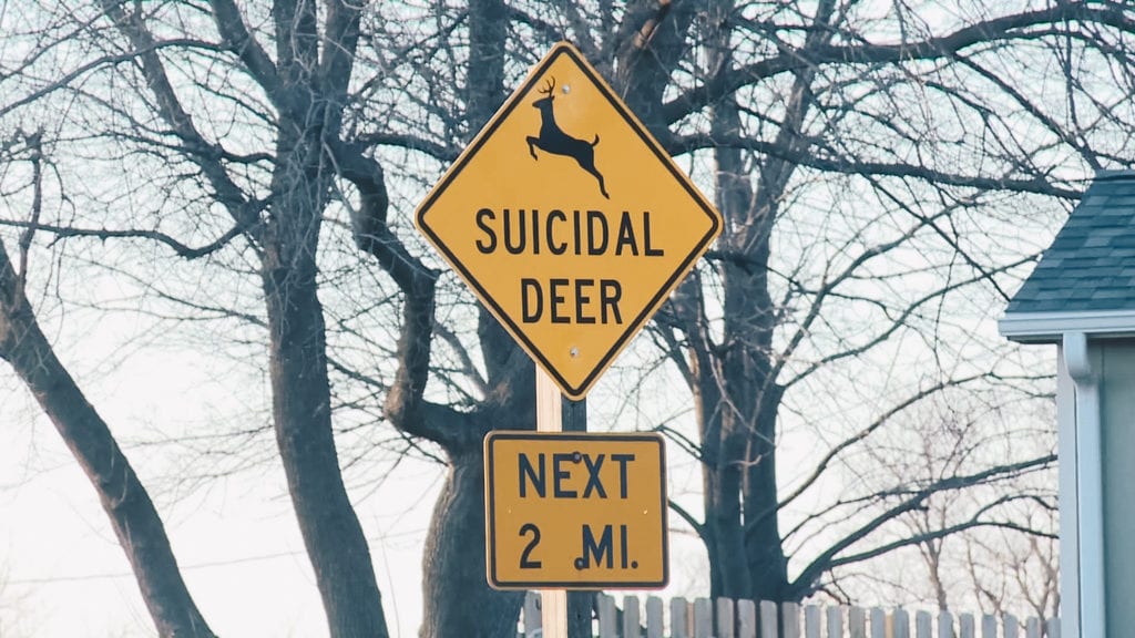 Placa de trânsito alerta para a possibilidade de cervos cruzando a pista nos Estados Unidos