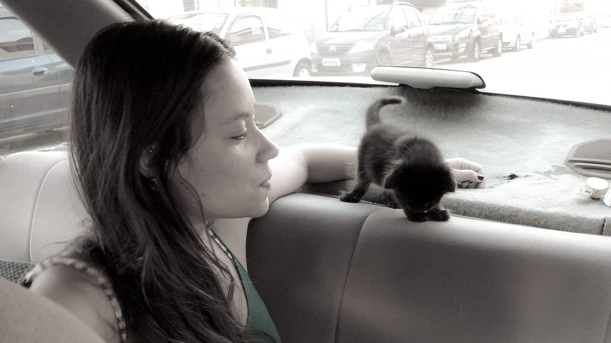Nossa primeira viagem com um filhotinho de gato