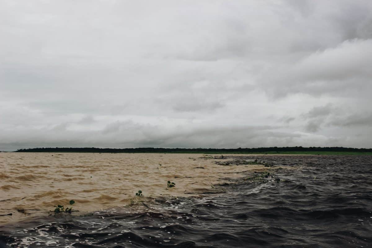 Passeio pelo fascinante encontro das águas, em Manaus