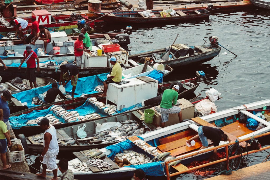 Barqueiros vendendo peixe no porto de Manaus