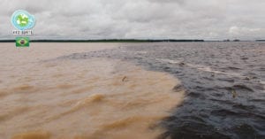 Passeio pelo encontro das águas em Manaus