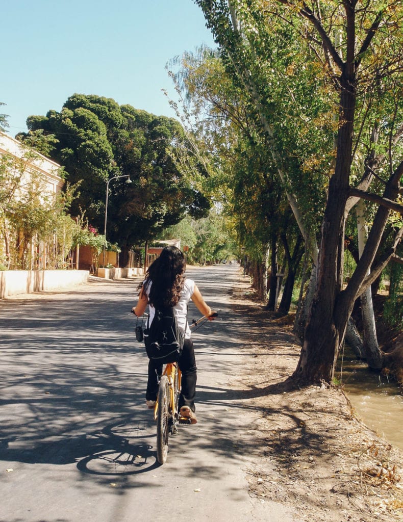 A forma mais econômica de conhecer a rota do vinho em Mendoza é de bicicleta