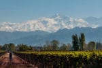 O que fazer em Mendoza gastando pouco