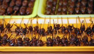 Espetinhos de insetos na Ásia