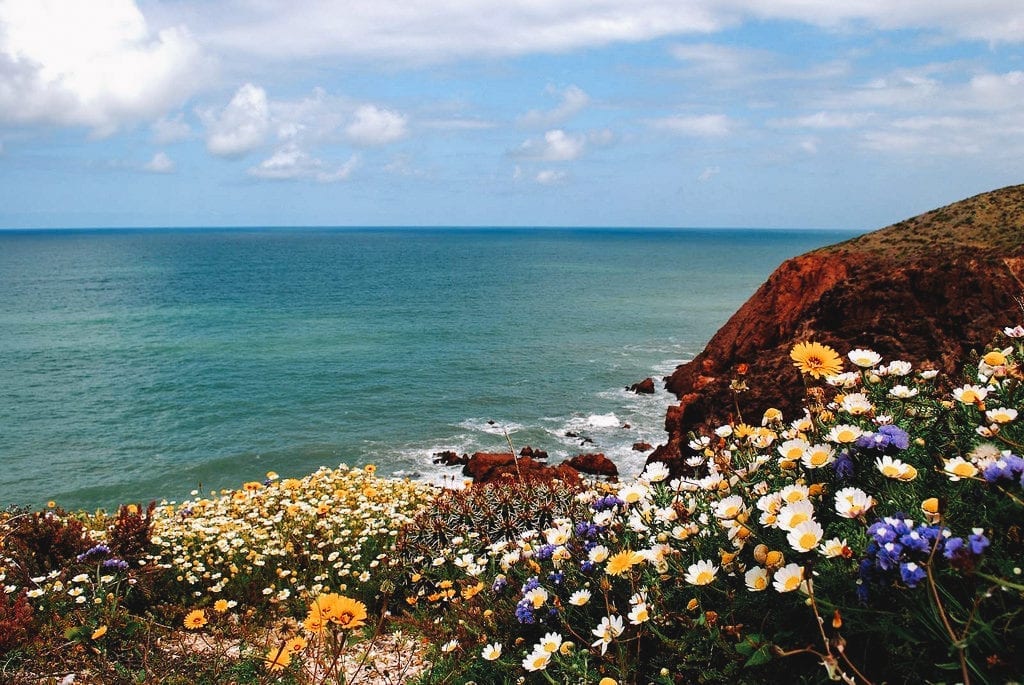 Praia e flores em Mirleft, Marrocos, África