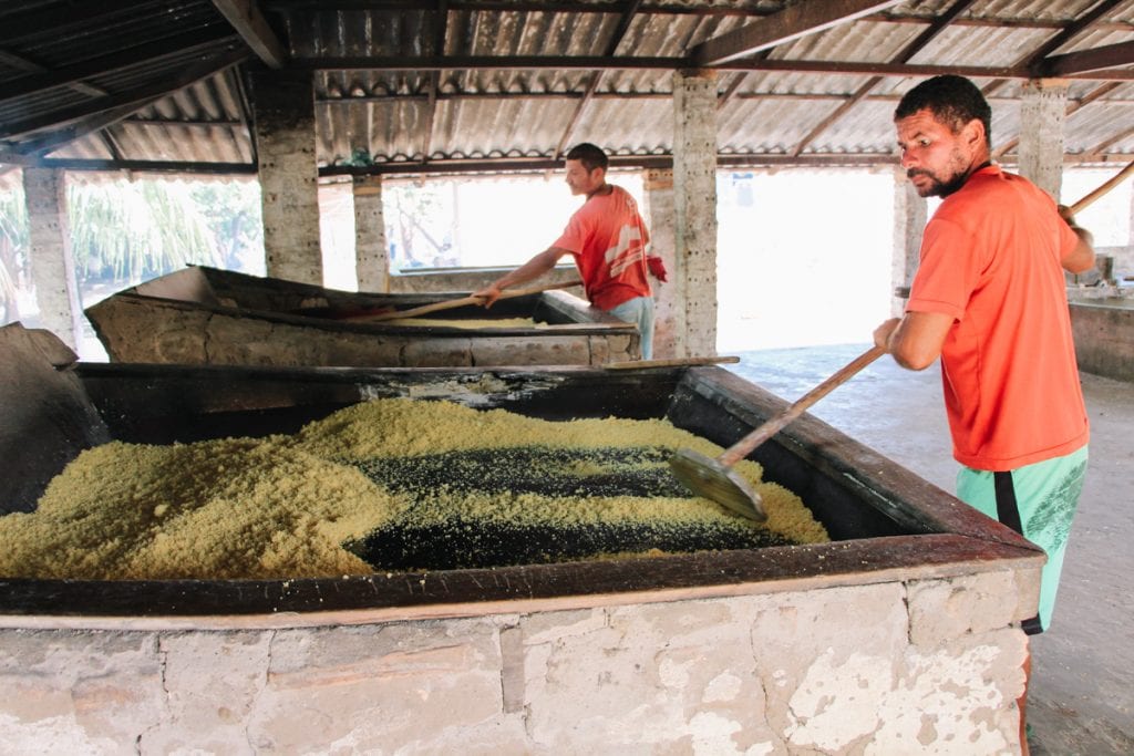 Produção de farinha de mandioca na Casa da Farinha, Barreirinhas, Maranhão