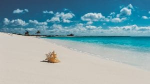 Concha na areia da Playa Sirena, em Cuba