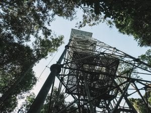 Torre de observação do MUSA - Museu da Amazônia