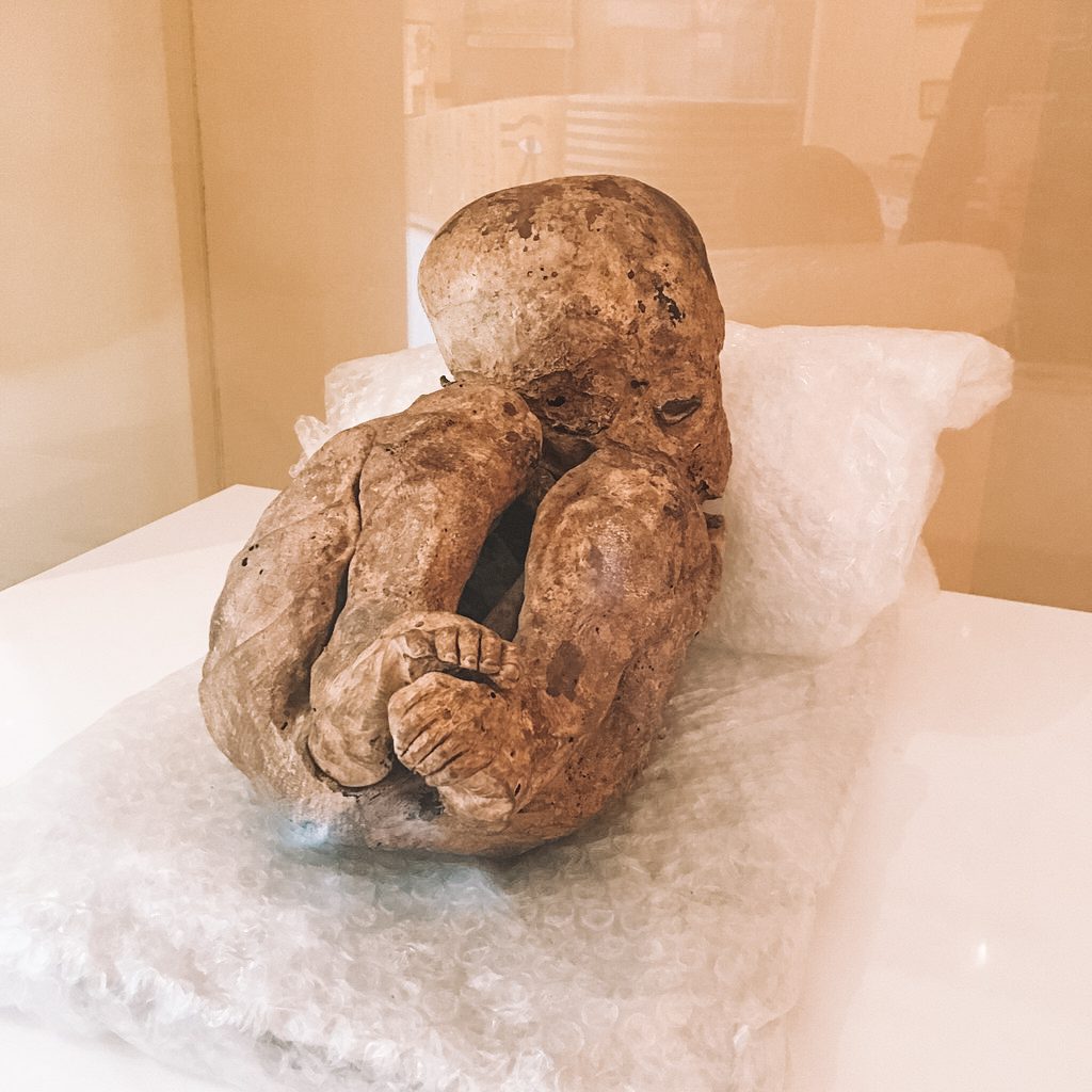 Múmia de criança no Museu Egípcio de Curitiba
