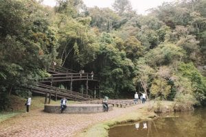 Unilivre, um passeio imperdível em Curitiba, Paraná
