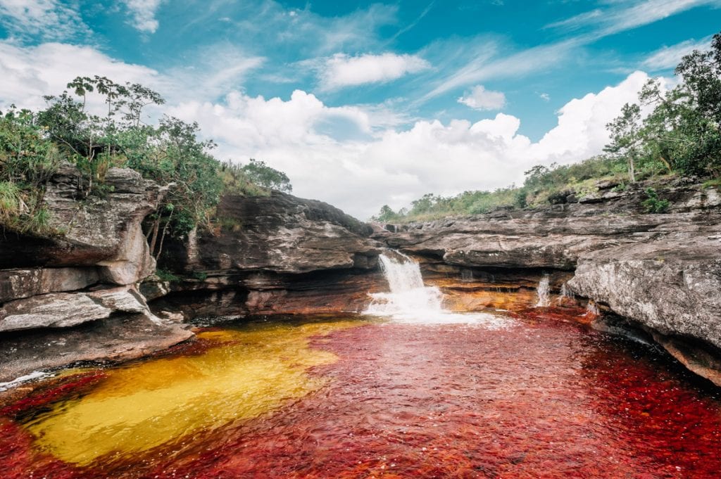 Caño Cristales, rio colorino na Colômbia, América do Sul