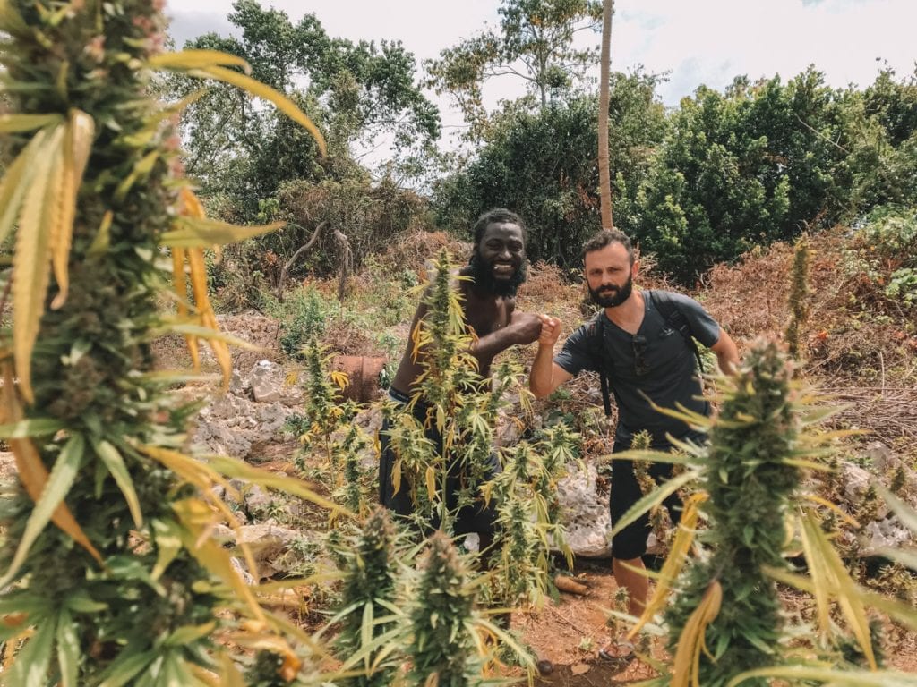 Nosso guia durante a visita à plantação de cannabis na Jamaica