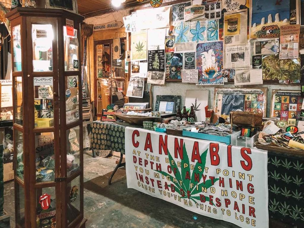 Museu da Cannabis em Punta del Este, Uruguai