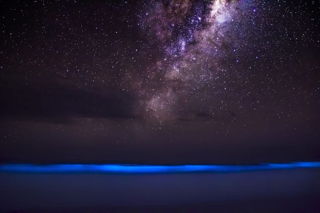 Noctilucas, bioluminescência no mar de Barra de Valizas, Uruguai